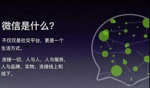 没花一分钱,利用小程序,这家店单月新增用户1000万